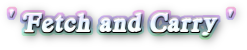 Fetch and Carry logo